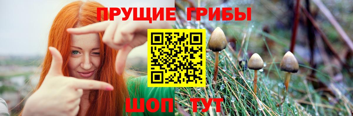 Псилоцибиновые грибы ЛСД  Вход с VPN  Междуреченск 